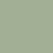 Pale Green (RAL6021)